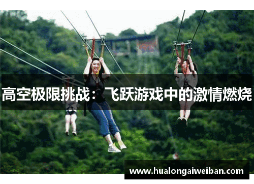 高空极限挑战：飞跃游戏中的激情燃烧