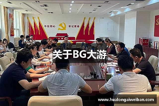 关于BG大游